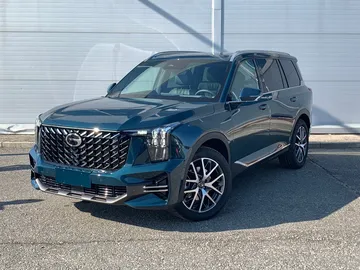 Купить Gac GS8, II Зеленый 2.0 AT (231 л.с.) 4WD от 4349000 ₽. в Самаре